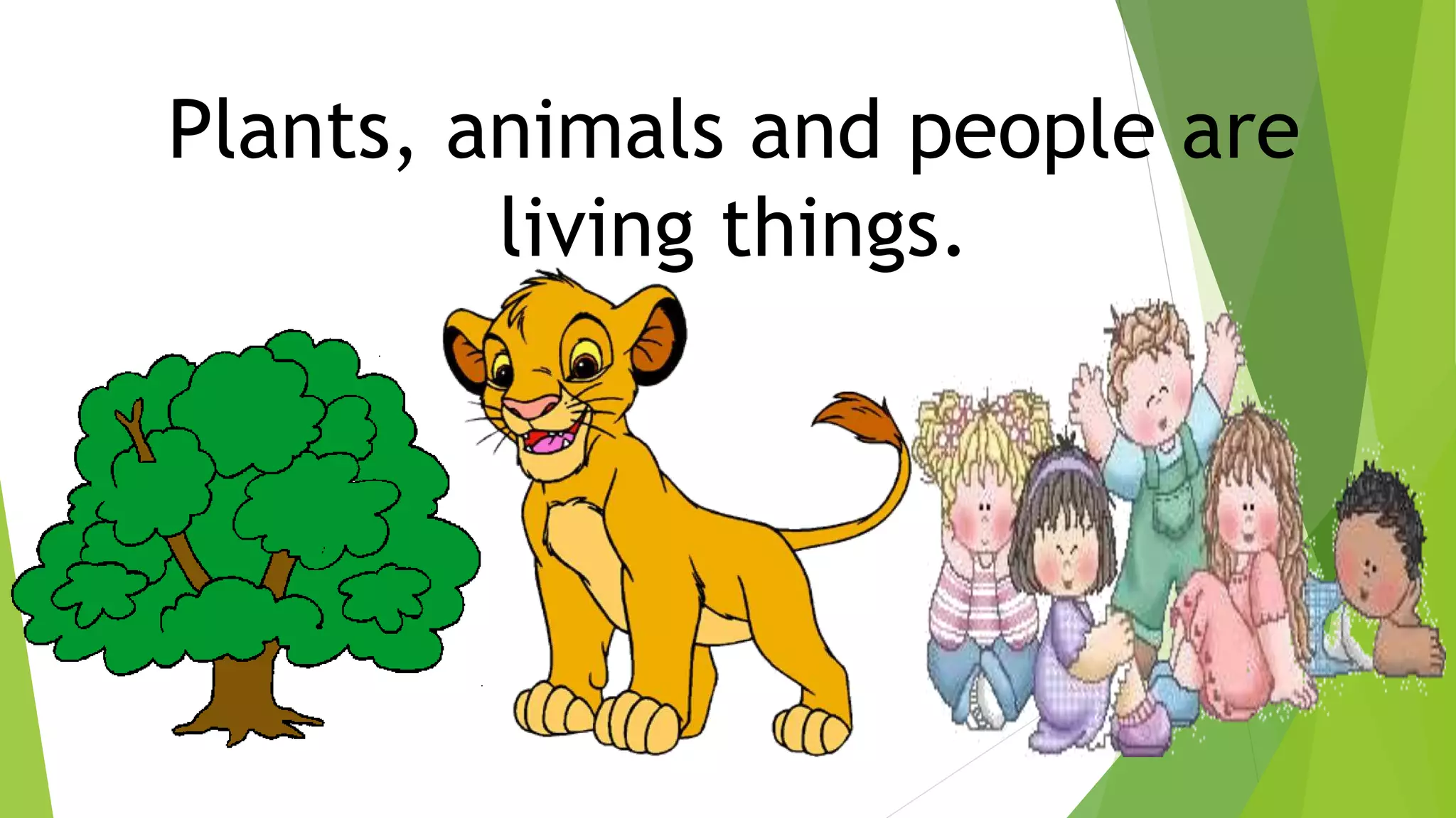 Plants, animals and people are
living things.