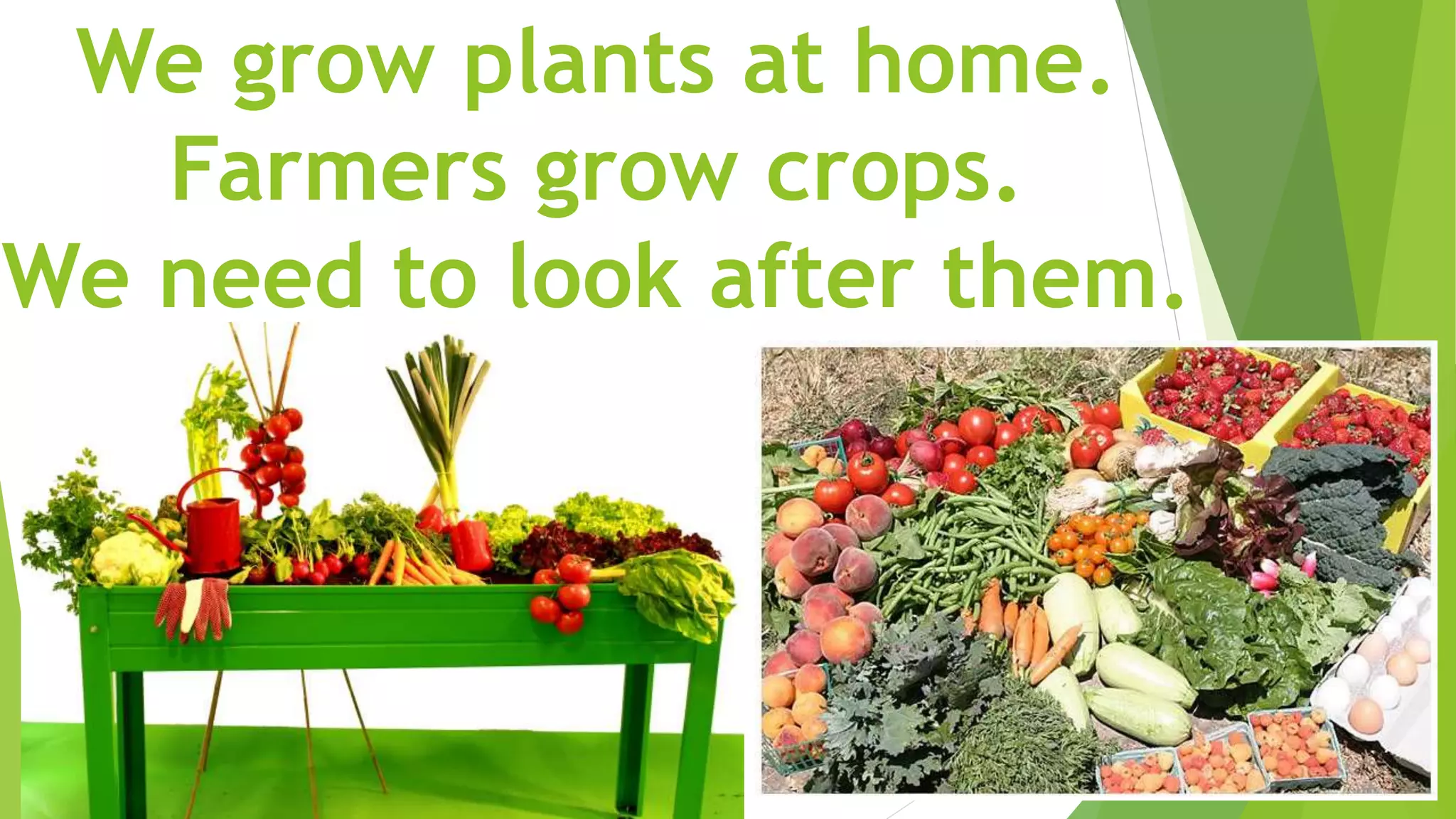 We grow plants at home.
Farmers grow crops.
We need to look after them.
