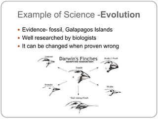 Example of Science -EvolutionEvidence- fossil, Galapagos IslandsWell researched by biologistsIt can be changed when proven wrong