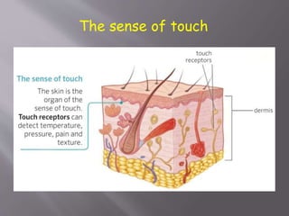 The sense of touch
 