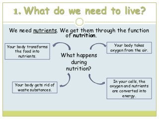 1. What do we need to live?
We need nutrients. We get them through the function
of nutrition.
What happens
during
nutritio...