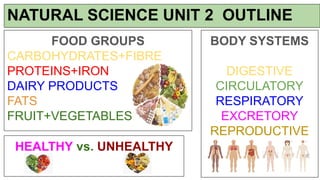 NATURAL SCIENCE UNIT 2 OUTLINE
FOOD GROUPS
CARBOHYDRATES+FIBRE
PROTEINS+IRON
DAIRY PRODUCTS
FATS
FRUIT+VEGETABLES
HEALTHY vs. UNHEALTHY
BODY SYSTEMS
DIGESTIVE
CIRCULATORY
RESPIRATORY
EXCRETORY
REPRODUCTIVE
 