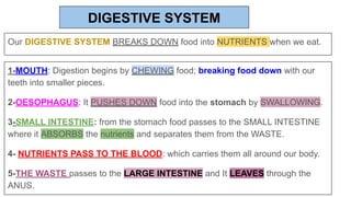 DIGESTIVE SYSTEM
Our DIGESTIVE SYSTEM BREAKS DOWN food into NUTRIENTS when we eat.
1-MOUTH: Digestion begins by CHEWING food; breaking food down with our
teeth into smaller pieces.
2-OESOPHAGUS: It PUSHES DOWN food into the stomach by SWALLOWING.
3-SMALL INTESTINE: from the stomach food passes to the SMALL INTESTINE
where it ABSORBS the nutrients and separates them from the WASTE.
4- NUTRIENTS PASS TO THE BLOOD: which carries them all around our body.
5-THE WASTE passes to the LARGE INTESTINE and It LEAVES through the
ANUS.
 