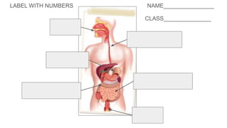 LABEL WITH NUMBERS NAME________________
CLASS_______________
 