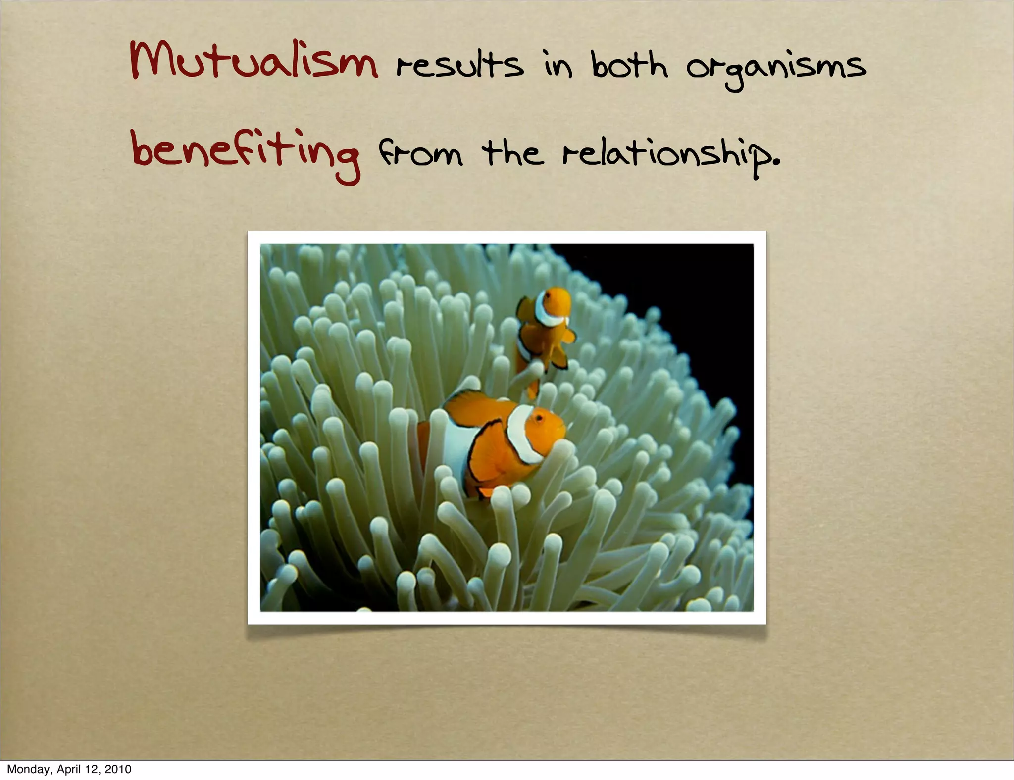 Mutualism results in both organisms
                     benefiting from the relationship.




Monday, April 12, 2010
 