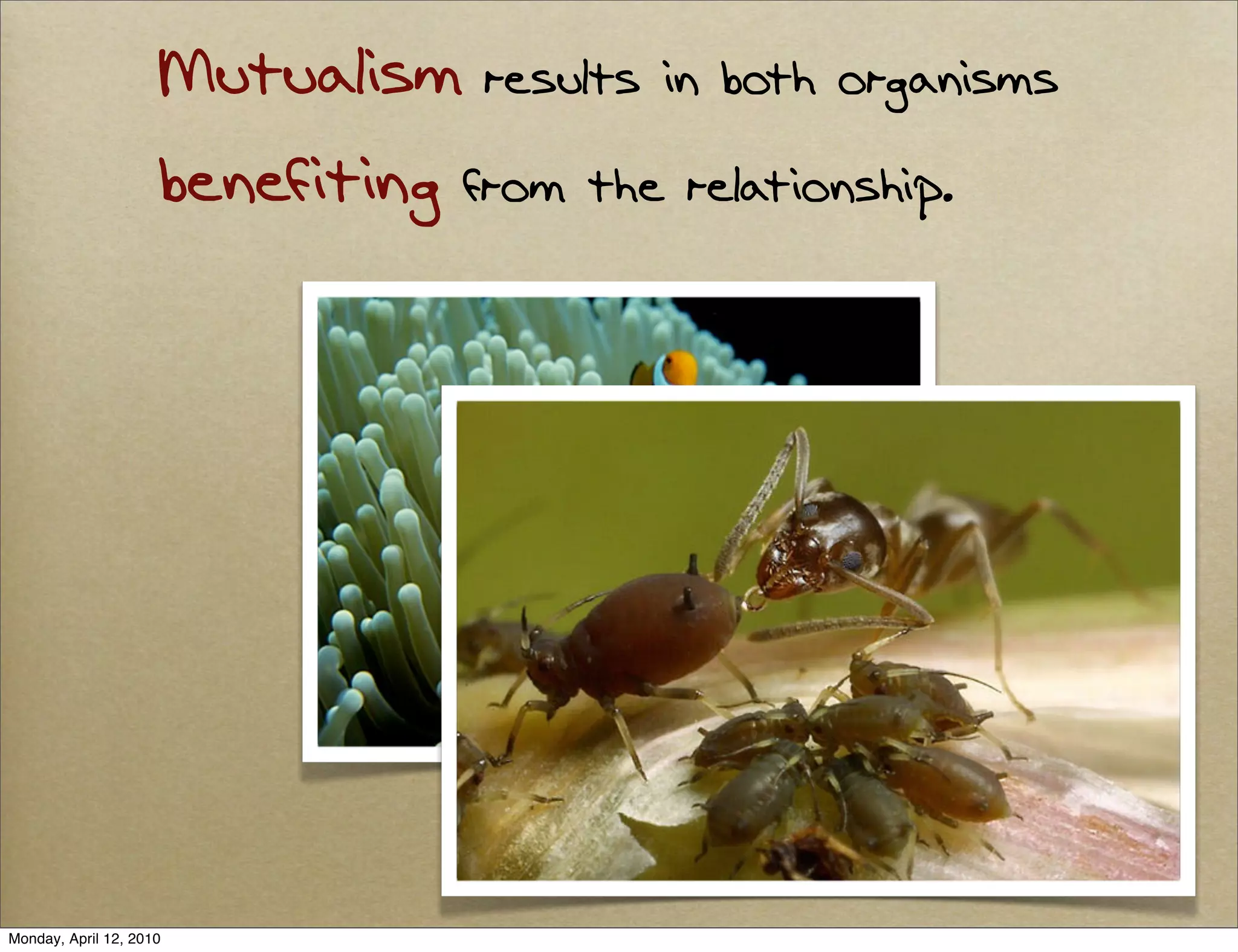 Mutualism results in both organisms
                     benefiting from the relationship.




Monday, April 12, 2010
 
