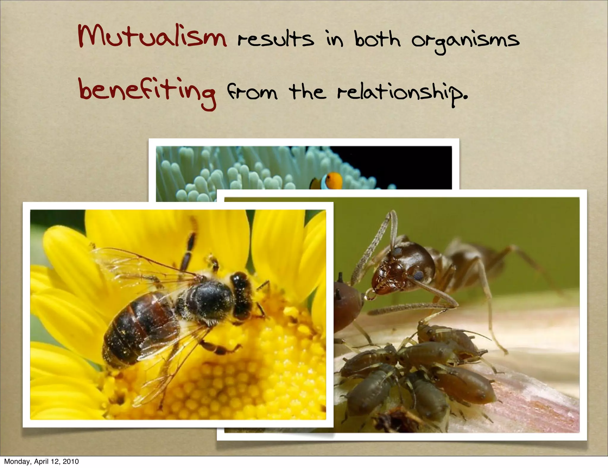 Mutualism results in both organisms
                     benefiting from the relationship.




Monday, April 12, 2010
 