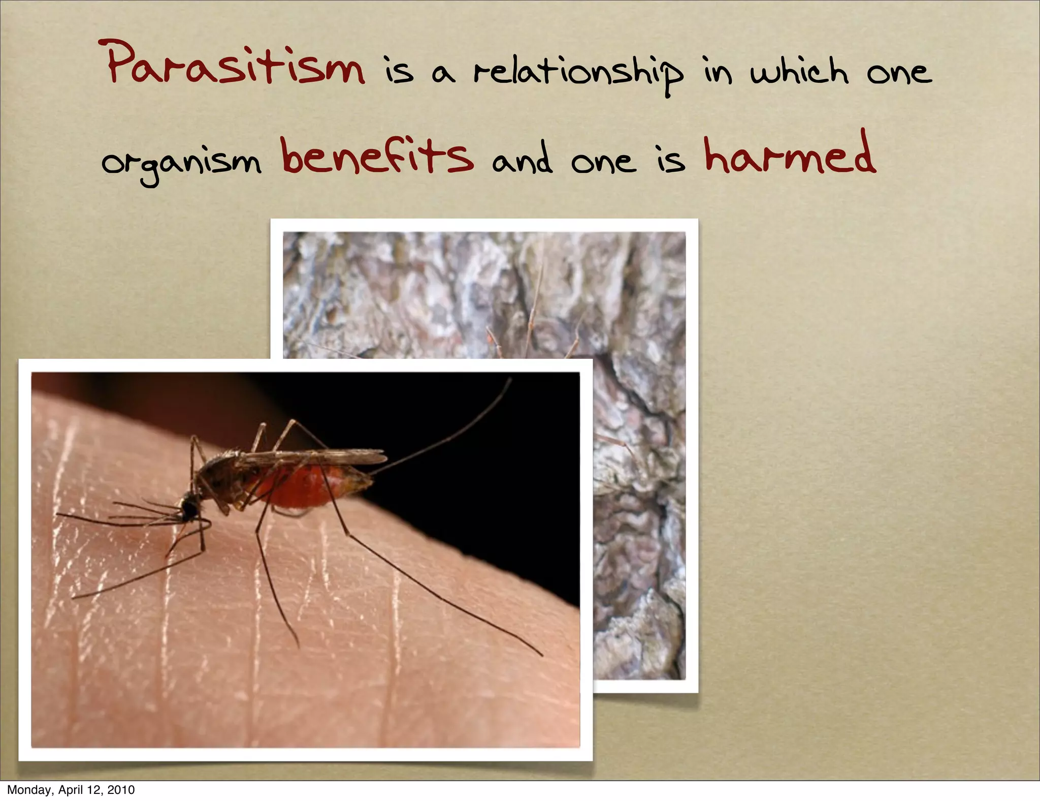 Parasitism is a relationship in which one
                organism benefits and one is harmed




Monday, April 12, 2010
 