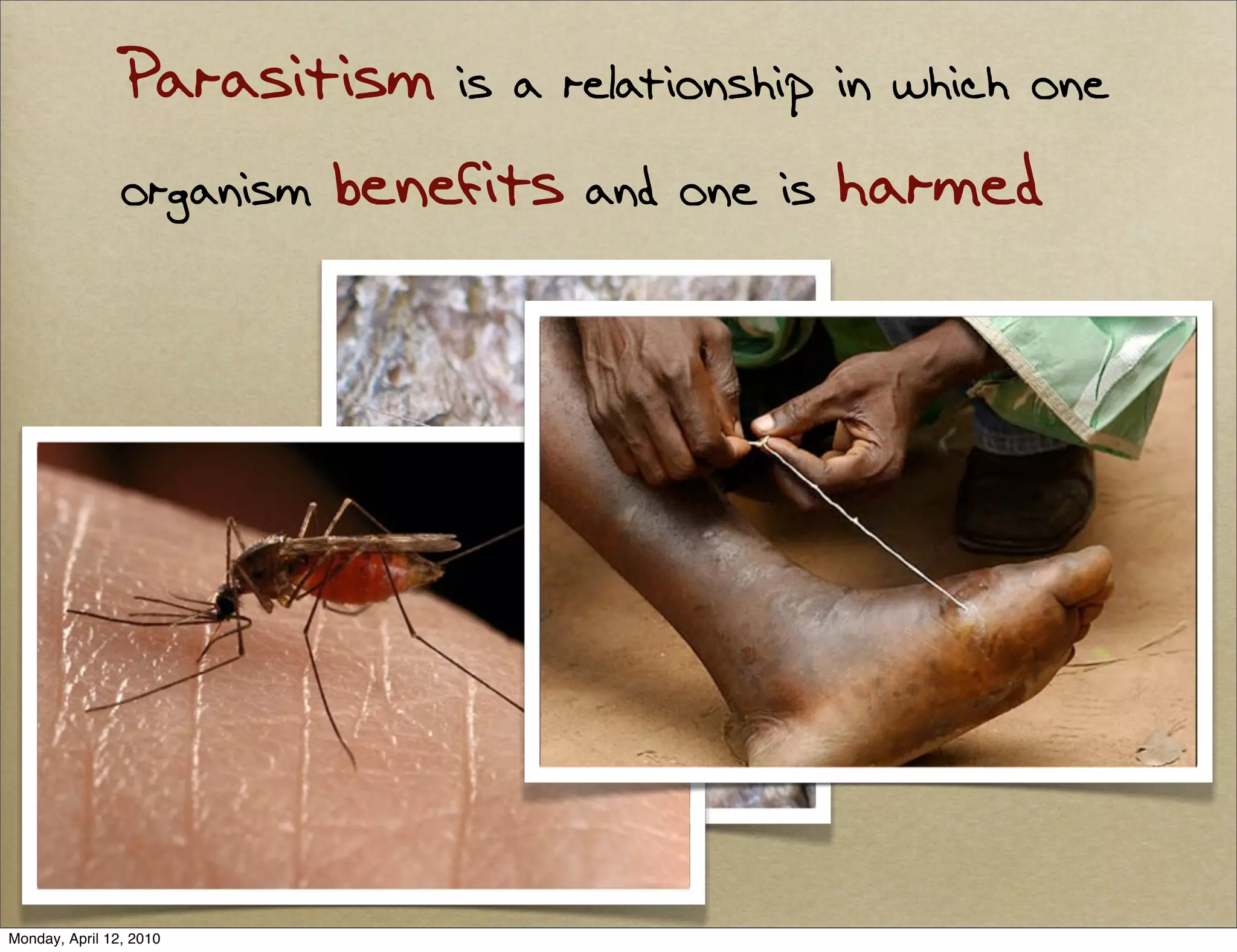 Parasitism is a relationship in which one
                organism benefits and one is harmed




Monday, April 12, 2010
 