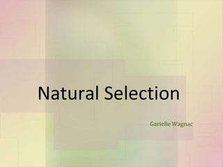 Garielle Wagnac  Natural Selection 