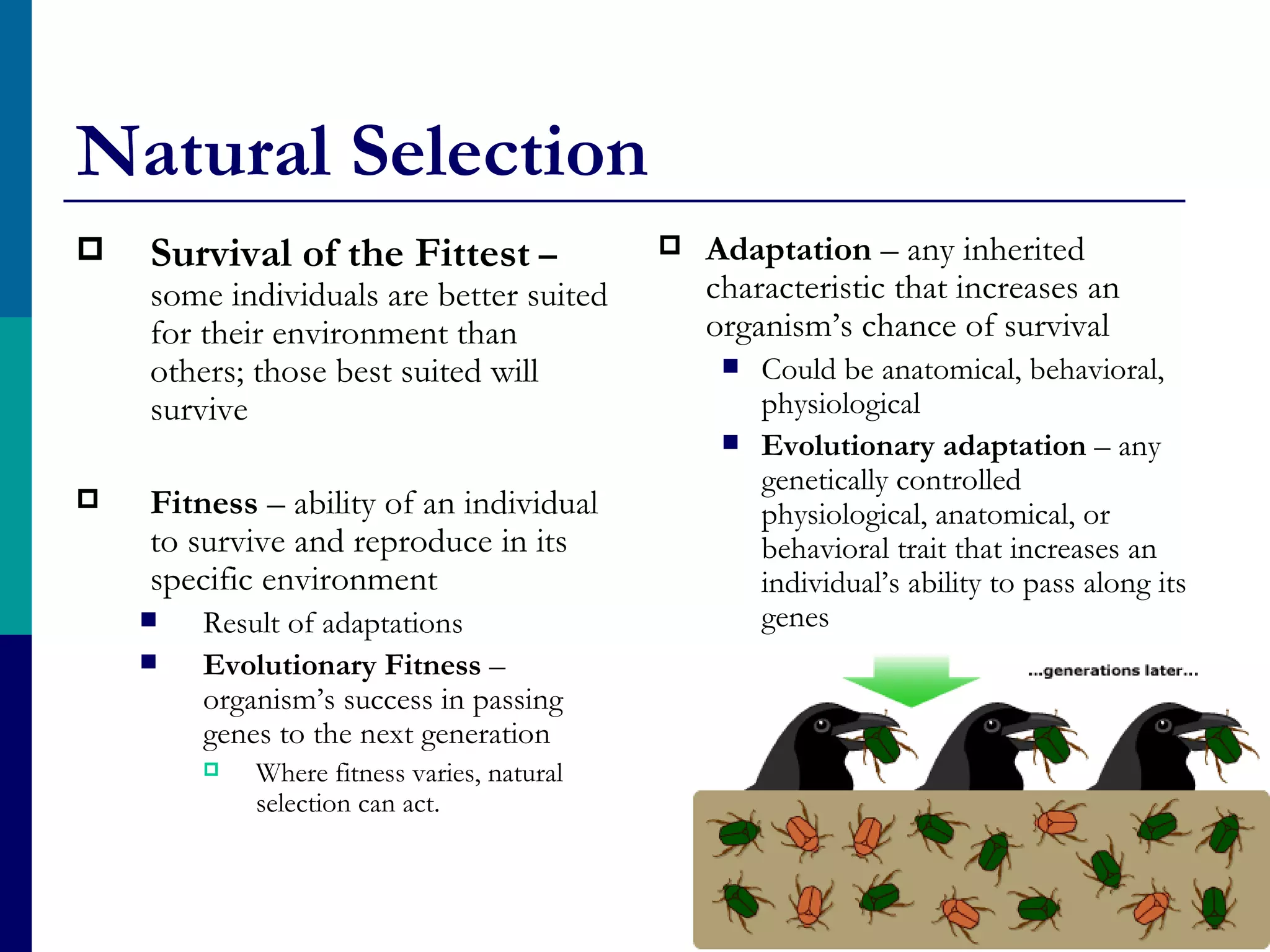 Natural Selection
   Survival of the Fittest –                  Adaptation – any inherited
    some individuals are better suited          characteristic that increases an
    for their environment than                  organism’s chance of survival
    others; those best suited will                  Could be anatomical, behavioral,
    survive                                          physiological
                                                    Evolutionary adaptation – any
                                                     genetically controlled
   Fitness – ability of an individual               physiological, anatomical, or
    to survive and reproduce in its                  behavioral trait that increases an
    specific environment                             individual’s ability to pass along its
       Result of adaptations                        genes
       Evolutionary Fitness –
        organism’s success in passing
        genes to the next generation
           Where fitness varies, natural
            selection can act.
 