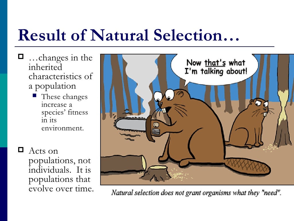 Natural selection