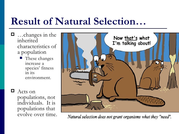 Can Natural Selection Act On An Individual Can Natural Selection Act On An Individual