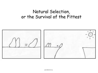 Natural Selection,
or the Survival of the Fittest
ignacio@pofume.org
 