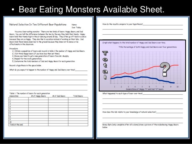 Teddy Graham Natural Selection Activity Teddy Graham Natural Selection Activity