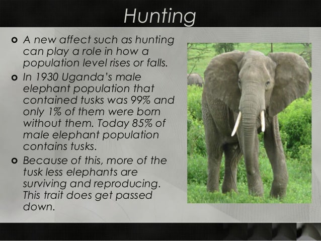 How Does Competition Play A Role In Natural Selection How Does Competition Play A Role In Natural Selection
