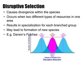 Natural selection | PPTX