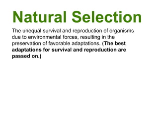 Natural Selection
The unequal survival and reproduction of organisms
due to environmental forces, resulting in the
preservation of favorable adaptations. (The best
adaptations for survival and reproduction are
passed on.)

 