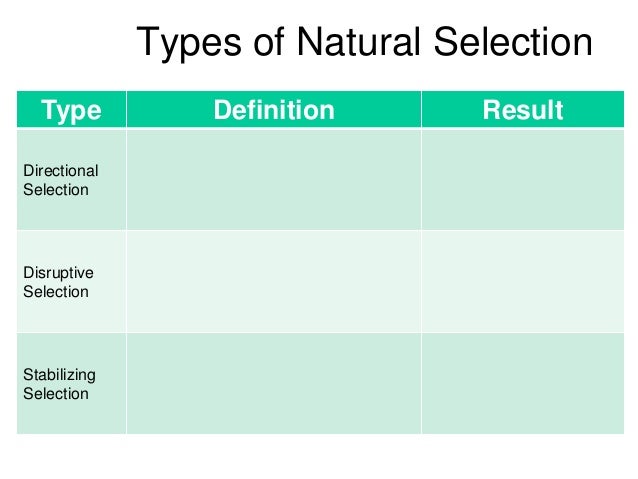 Natural Selection Definition For Kids Natural Selection Definition For Kids