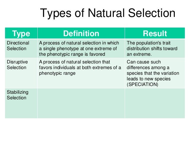 Natural Selection Variation Isolation And Selection Natural Selection Variation Isolation And Selection