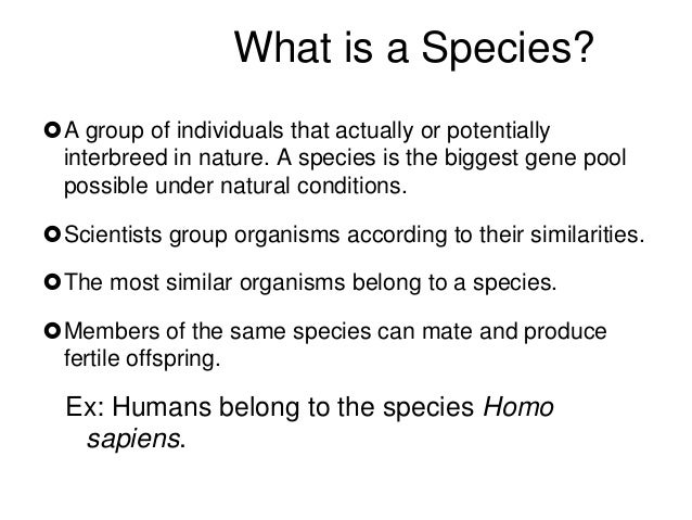 Natural Selection And Speciation Similarities Natural Selection And Speciation Similarities