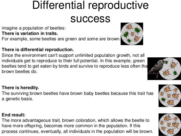 Coloration Natural Selection Coloration Natural Selection
