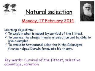 Natural selection
Monday, 17 February 2014
Learning objectives:
 To explain what is meant by survival of the fittest.
 To analyse the stages in natural selection and be able to
give examples.
 To evaluate how natural selection in the Galapagos
finches helped Darwin formulate his theory.

Key words: Survival of the fittest, selective
advantage, variation

 