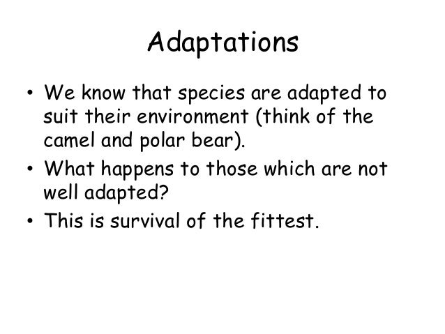 Explain What Is Meant By Natural Selection Explain What Is Meant By Natural Selection