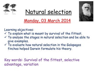 Natural selection
Monday, 03 March 2014
Learning objectives:
 To explain what is meant by survival of the fittest.
 To analyse the stages in natural selection and be able to
give examples.
 To evaluate how natural selection in the Galapagos
finches helped Darwin formulate his theory.

Key words: Survival of the fittest, selective
advantage, variation

 
