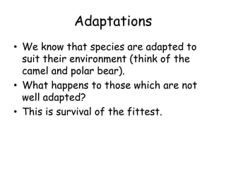 Natural selection | PPTX