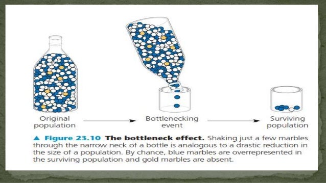 Natural Selection That Favors Extreme Over Intermediate Phenotypes Natural Selection That Favors Extreme Over Intermediate Phenotypes