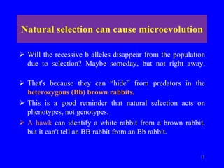 Natural Selection Rabbit Natural Selection.ppt