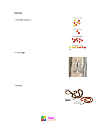 Eap Notes Natural selection - EAP note-taking sheet | PDF