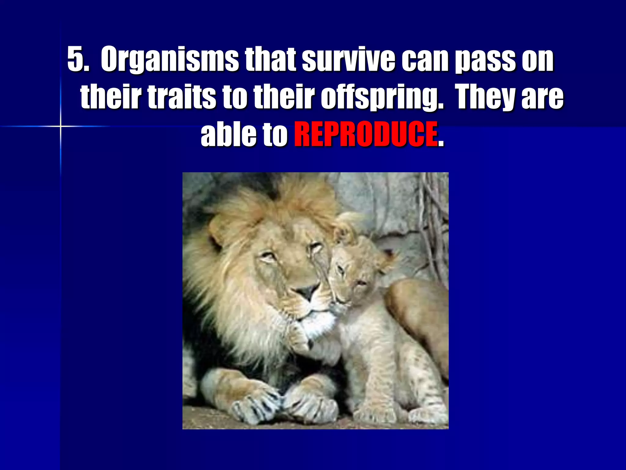 5. Organisms that survive can pass on
 their traits to their offspring. They are
            able to REPRODUCE.
 
