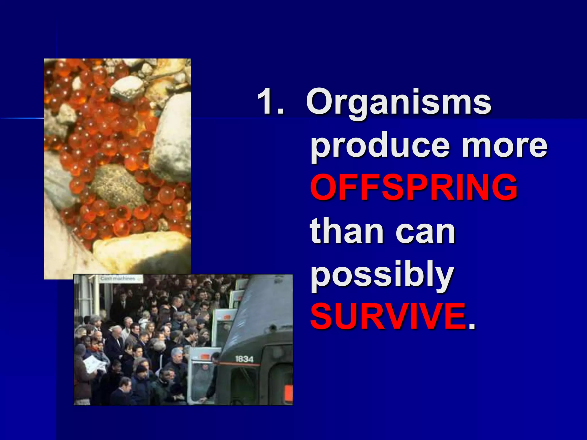 1. Organisms
   produce more
   OFFSPRING
   than can
   possibly
   SURVIVE.
 