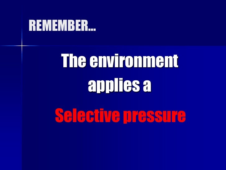 Natural Selection And Reproductive Fitness Natural Selection And Reproductive Fitness