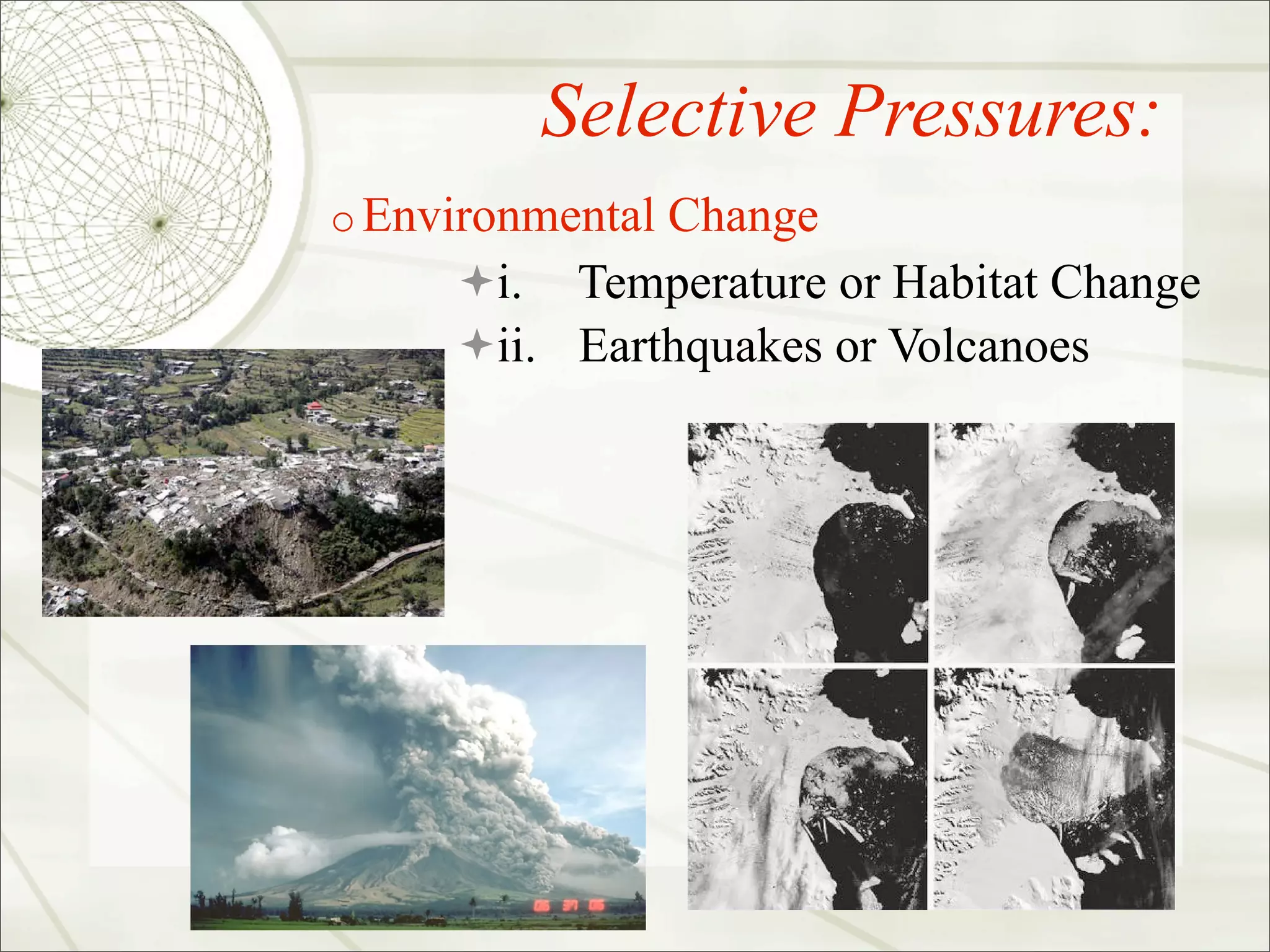 Selective Pressures:
o Environmental Change
     i. Temperature or Habitat Change
     ii. Earthquakes or Volcanoes
 