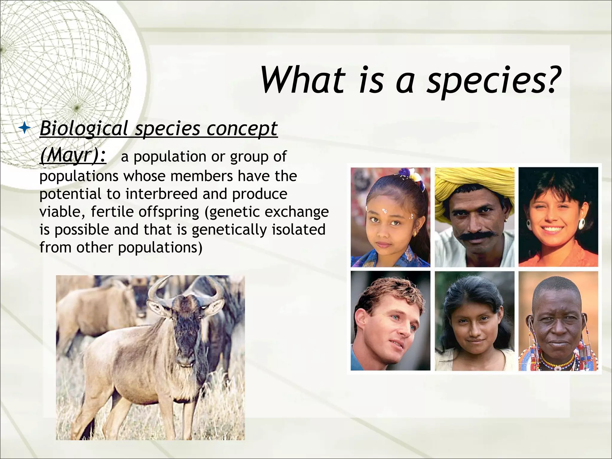 What is a species?
 Biological species concept
  (Mayr):      a population or group of
  populations whose members have the
  potential to interbreed and produce
  viable, fertile offspring (genetic exchange
  is possible and that is genetically isolated
  from other populations)
 
