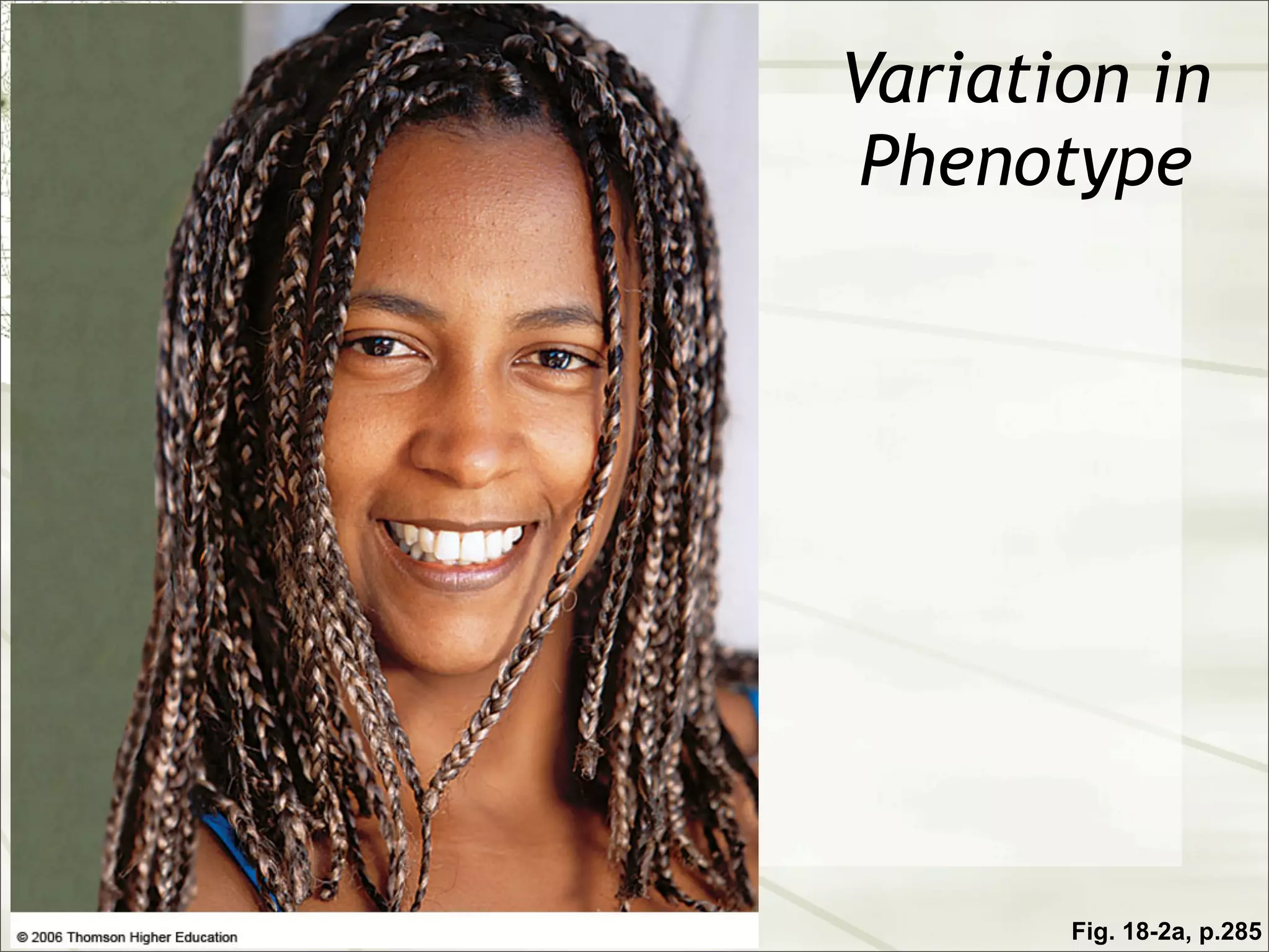 Variation in
 Phenotype




       Fig. 18-2a, p.285
 