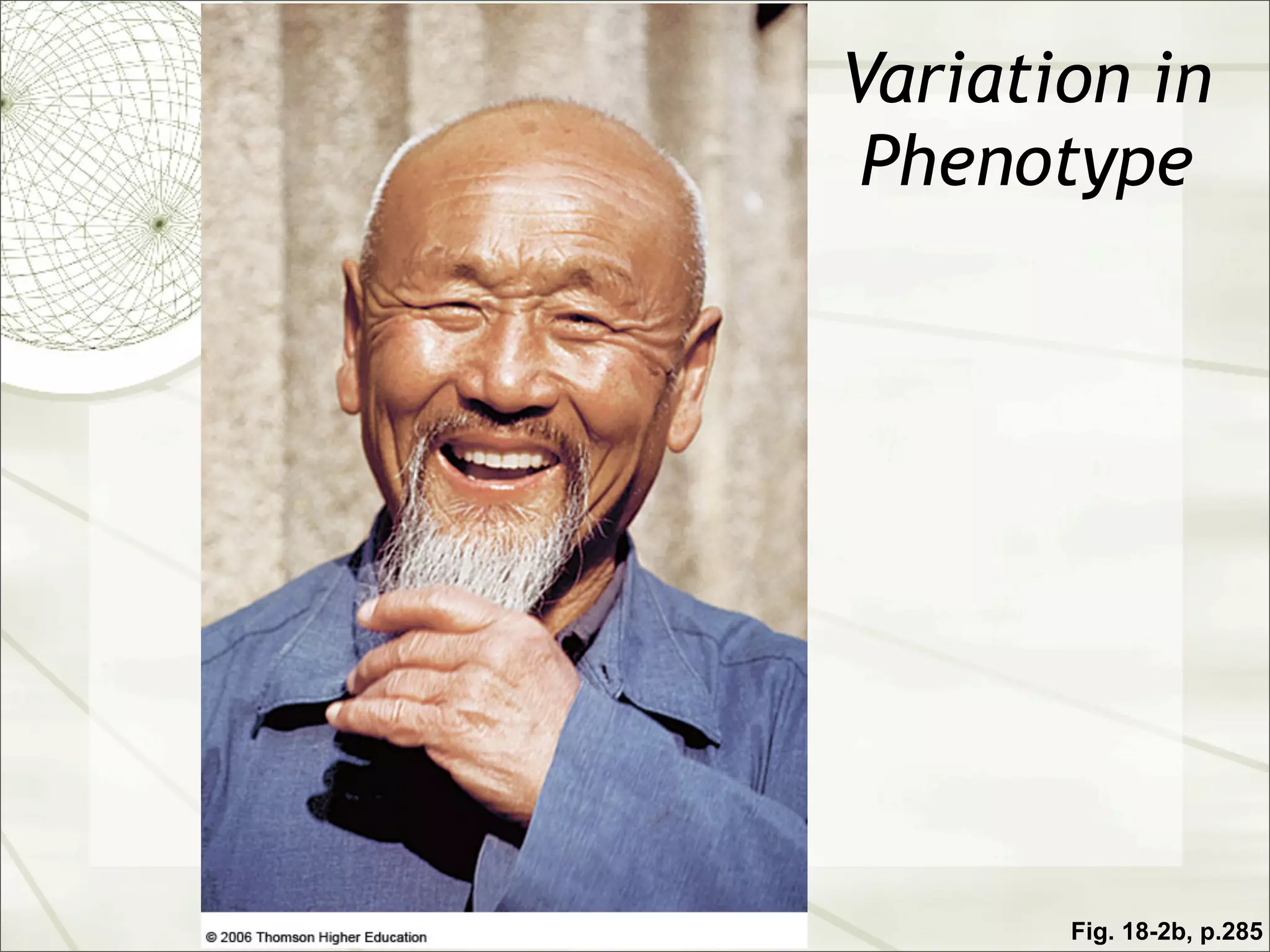 Variation in
 Phenotype




       Fig. 18-2b, p.285
 