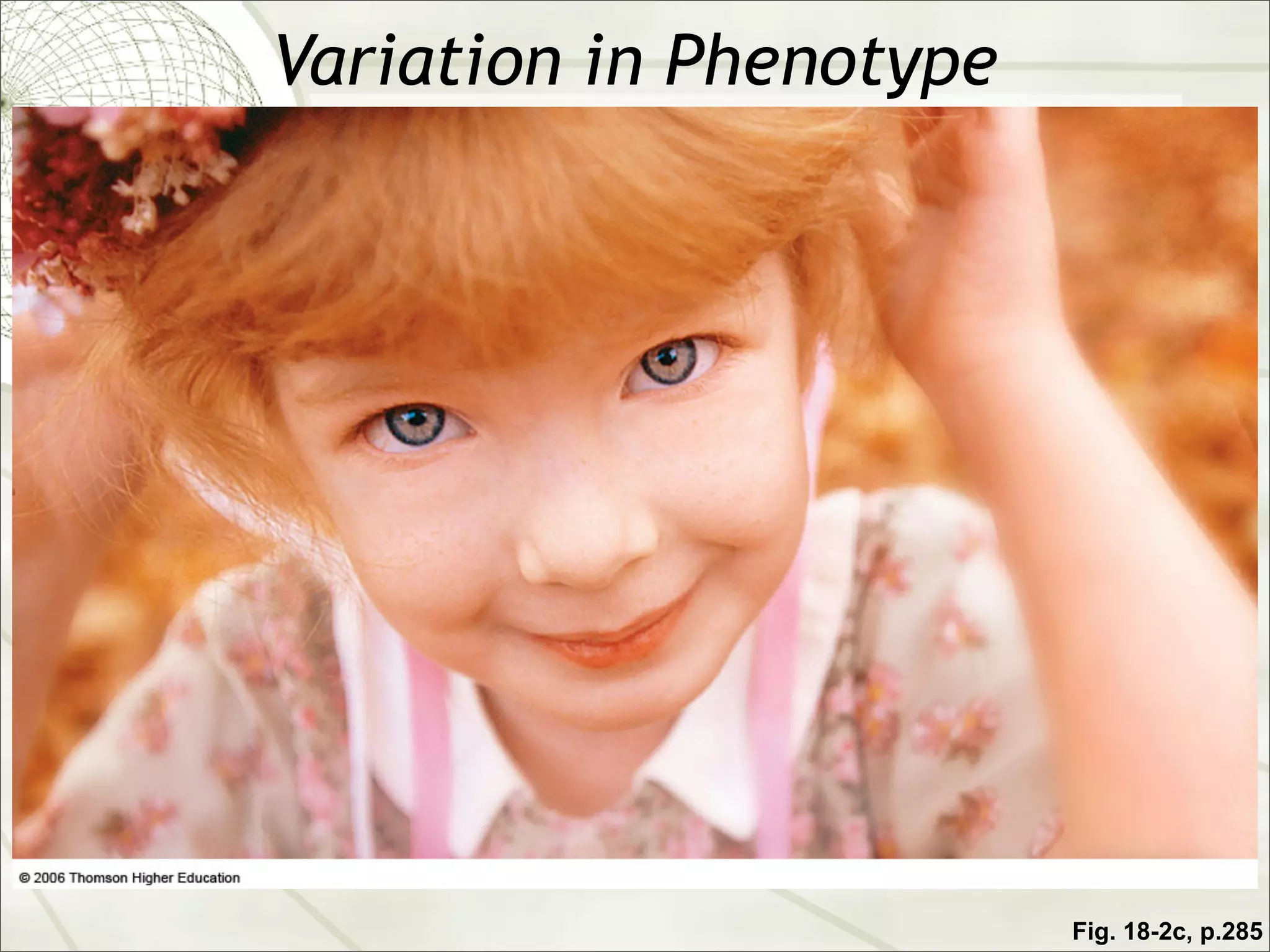 Variation in Phenotype




                         Fig. 18-2c, p.285
 