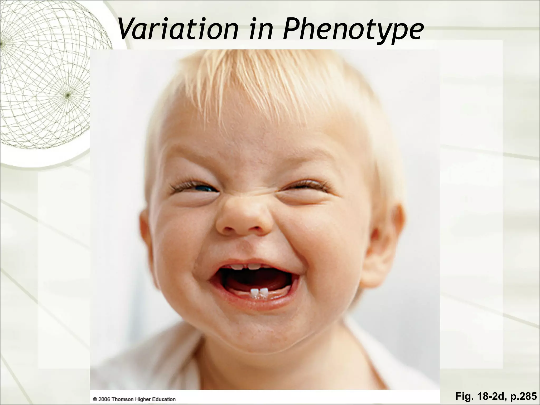 Variation in Phenotype




                         Fig. 18-2d, p.285
 