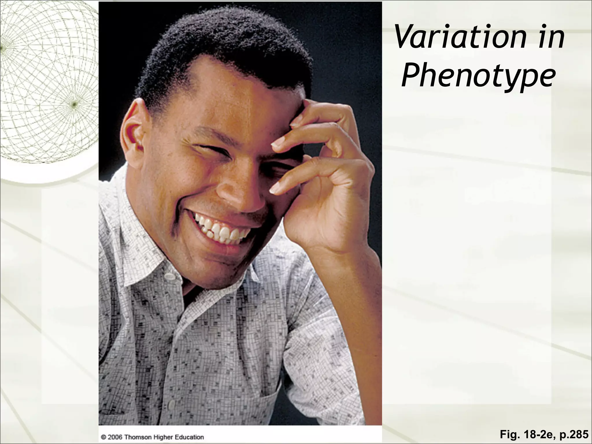 Variation in
 Phenotype




       Fig. 18-2e, p.285
 