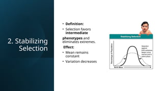 Comprehensive Overview of Natural Selection and Its Types in Evolution ...
