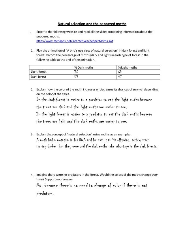 Natural Selection And The Peppered Moths