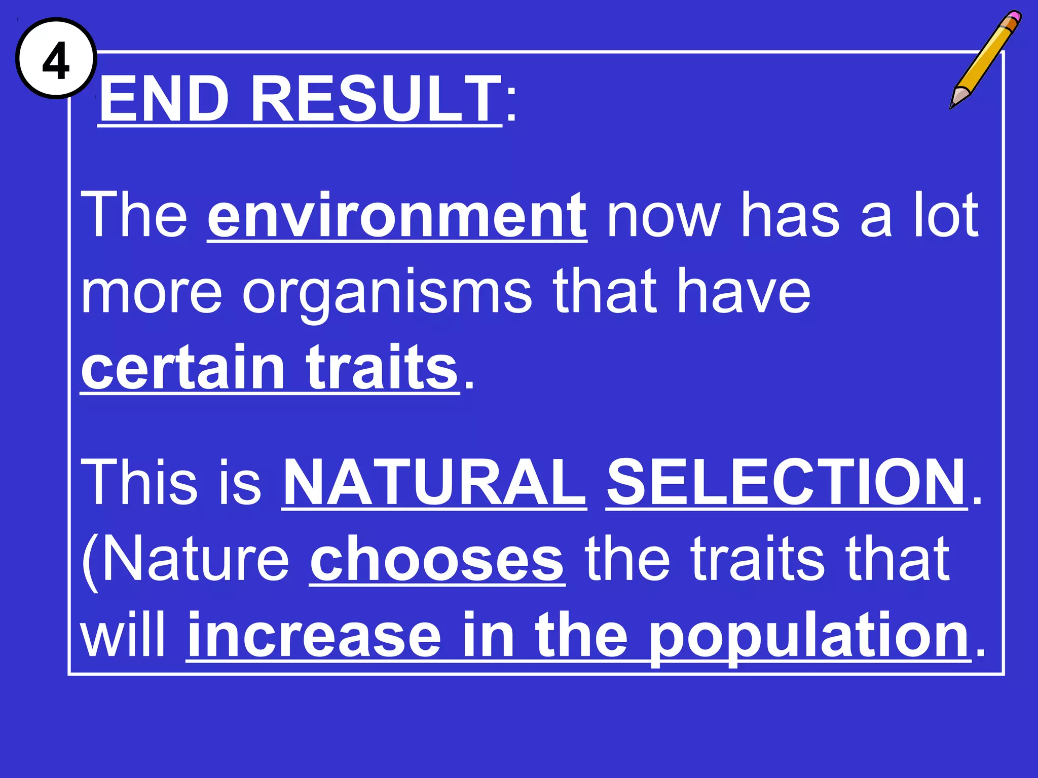END RESULT:
The environment now has a lot
more organisms that have
certain traits.
This is NATURAL SELECTION.
(Nature chooses the traits that
will increase in the population.
4