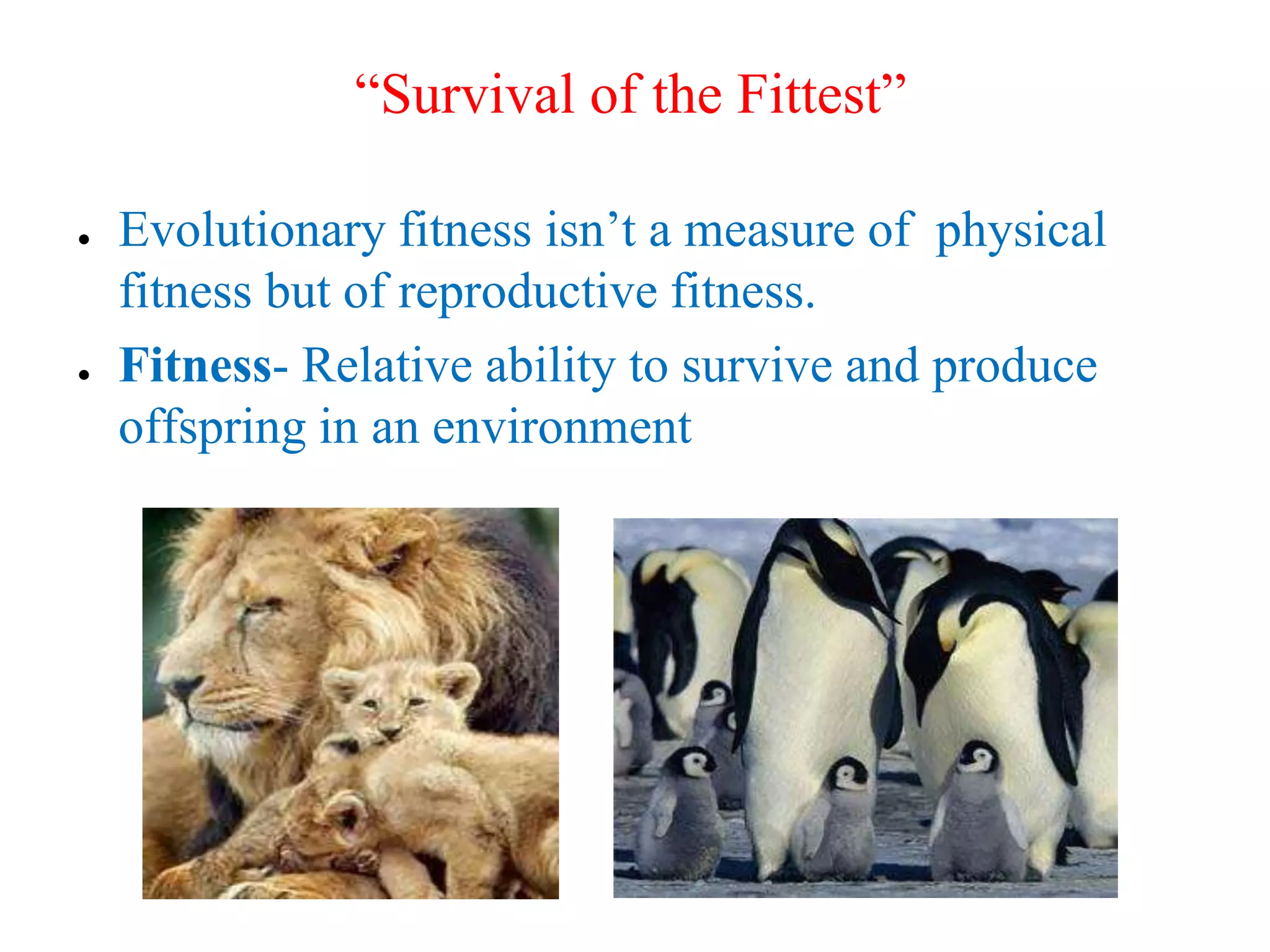 “Survival of the Fittest”
● Evolutionary fitness isn’t a measure of physical
fitness but of reproductive fitness.
● Fitness- Relative ability to survive and produce
offspring in an environment
 