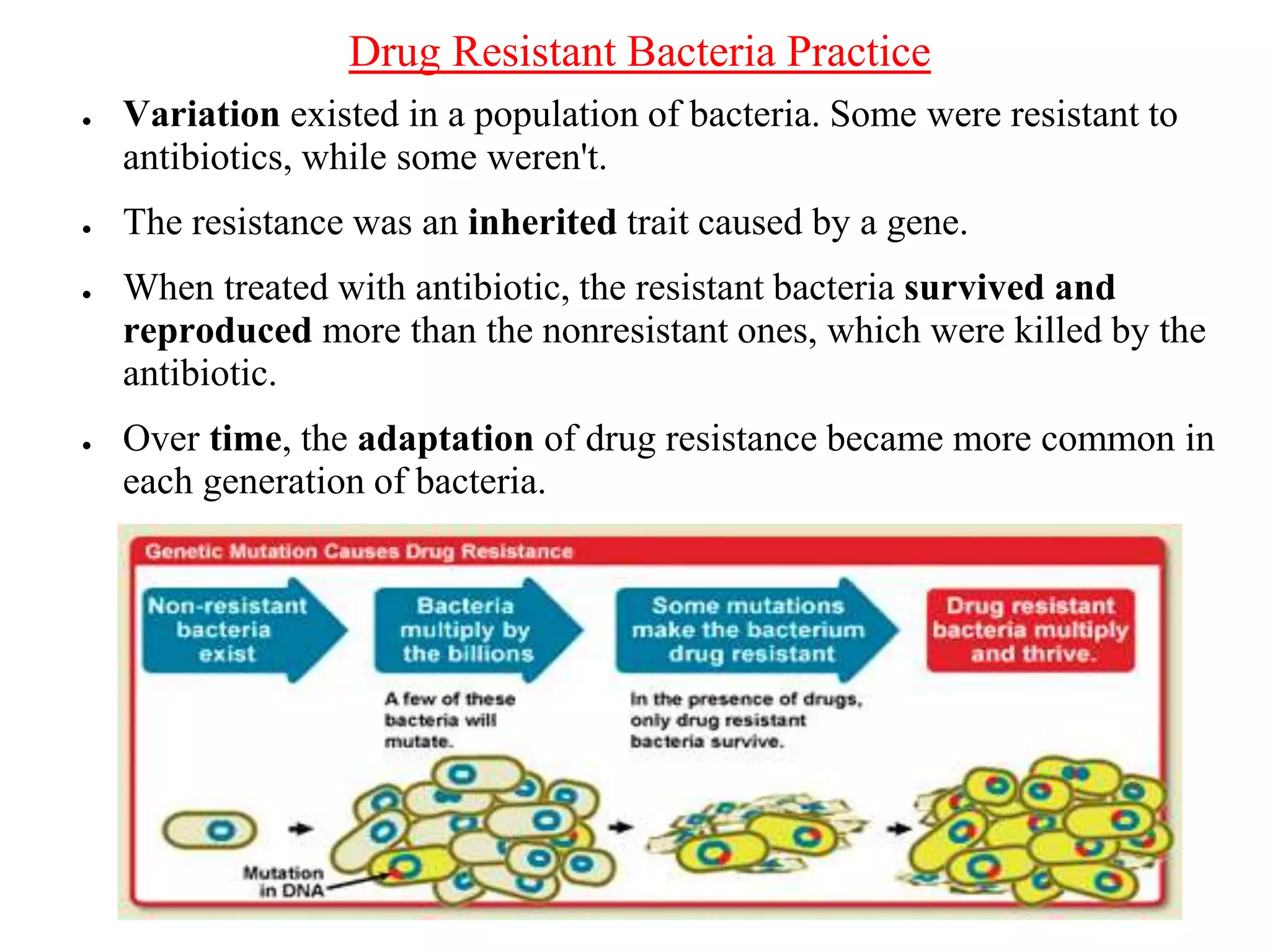 Drug Resistant Bacteria Practice
● Variation existed in a population of bacteria. Some were resistant to
antibiotics, while some weren't.
● The resistance was an inherited trait caused by a gene.
● When treated with antibiotic, the resistant bacteria survived and
reproduced more than the nonresistant ones, which were killed by the
antibiotic.
● Over time, the adaptation of drug resistance became more common in
each generation of bacteria.
 