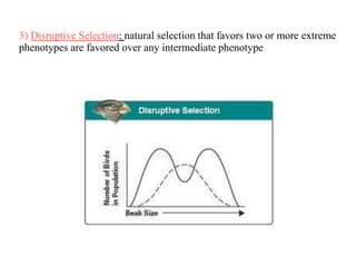 3) Disruptive Selection: natural selection that favors two or more extreme
phenotypes are favored over any intermediate phenotype
 