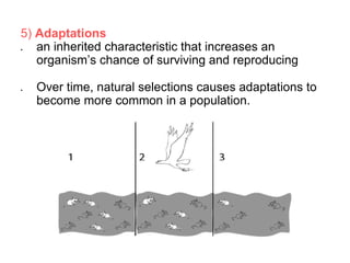 Theory of evolution by natural selection | PPT Theory of evolution by natural selection | PPT